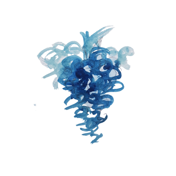 Maturité du raisin et répartition des vignes dans le monde - Vin & Climat 1/3